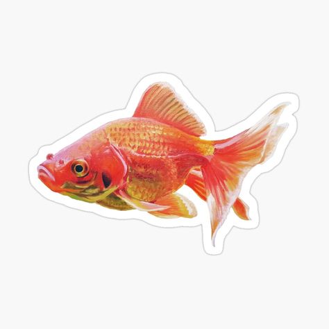 Goldfish Sticker, Goldfish Painting, Background Sticker, No Background, Desktop Wallpapers, Bullet Journals, Cool Stickers, Aesthetic Stickers, Goldfish