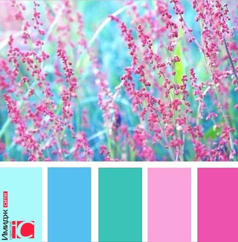 Very girly Bright Pink Branding Color Palette, Matching Colours Color Balance, Group Home Ideas, Color Schemes Colour Palettes, Color Palette Pink, Color Palate, Design Seeds, Color Palette Design, Color Harmony