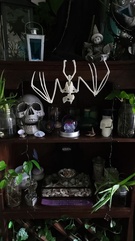 finally finished decorating this old wine rack my mum gave me to use as a shelf #roomdecor #halloweencore #whimsigoth #alternative #gothic #witchy Goth Shelf Ideas, Gothic Shelf Decor, Whimsigoth Shelf, Beauty Altar, Whimsy Bedroom, Horror Bedroom Ideas, Witchy Shelf, Horror Bedroom, Witch Shelf