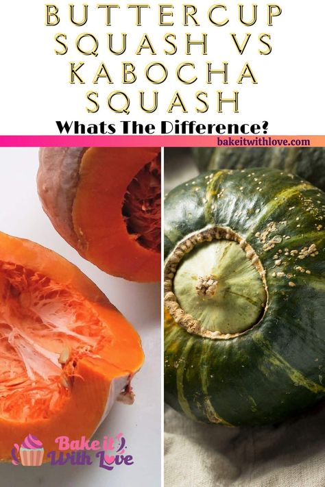 Buttercup squash vs kabocha squash: A complete guide to the differences and similarities between these unique and delicious winter squashes! Don't worry if you don't know how to tell them apart, many people think that they look exactly the same! Keep reading to learn everything you need to know about buttercup and kabocha squash and how you can cook them properly! BakeItWithLove.Com #bakeitwithlove #squash #kabocha #buttercup #vegetables #foodguide Japanese Squash, Squash Benefits, Pumpkin Benefits, Japanese Pumpkin, Buttercup Squash, Delicious Veggies, Kabocha Squash, Healthy Groceries, Delicious Vegetables