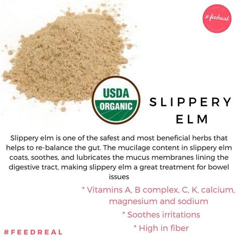 Slippery Elm Benefits Women, Slippery Elm Benefits, Herbal Benefits, Magickal Herbs, Food Health Benefits, Essential Oils Herbs, Slippery Elm, Herbs For Health, Health Knowledge