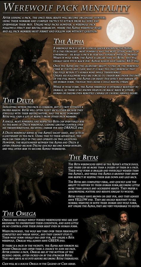 Vampires Vs Werewolves, Lycan Vs Werewolf, Werewolf Pack Art, Werewolf Information, Pack House Werewolf, How To Write A Werewolf, Werewolf Family Art, Werewolf Hierarchy, D&d Werewolf