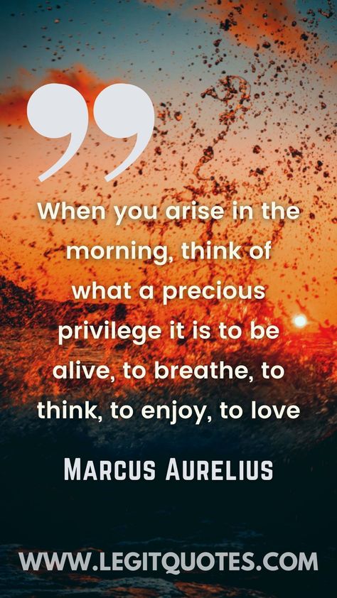 Daily Inspirational Quotes Wake Up Quotes, Up Quotes, Marcus Aurelius, Morning Quotes, Good Morning Quotes, In The Morning, The Morning, Wake Up, Love Quotes