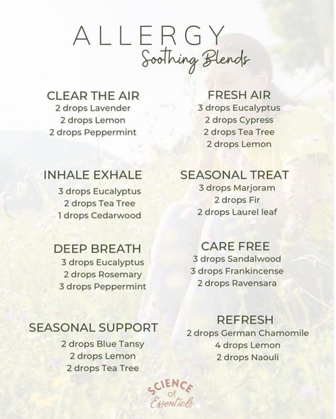 Allergy Essential Oil Blend, Allergy Diffuser Blend, Young Living Essential Oil Diffuser, Essential Oils Allergies, Young Living Oils Recipes, Doterra Diffuser Blends, Essential Oil Combinations, Essential Oil Diffuser Blends Recipes, Essential Oils Herbs