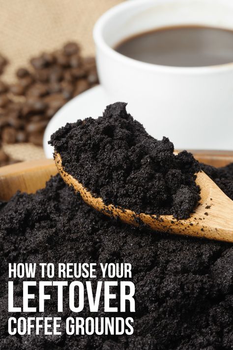 How to Reuse Your Leftover Coffee Grounds Coffee Ground Scrub, Leftover Coffee Grounds, Coffee Scrub Recipe, Leftover Coffee, Bed Ikea, Homemade Beauty Recipes, Coffee Body Scrub, Keto Coffee, Uses For Coffee Grounds