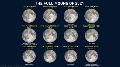 Look up! The rarest Full Moon of 2021 shines in the sky this week Names Related To Moon, February Full Moon, Full Buck Moon, Full Strawberry Moon, Full Moon Names, Moon Hunters, Full Blue Moon, Moon Facts, Corn Moon