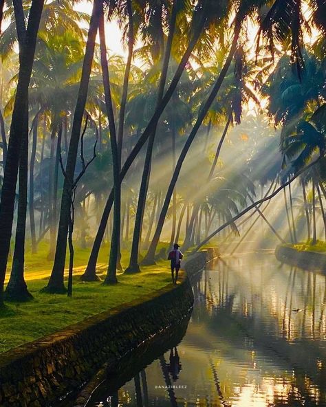 Discover India on Instagram: “Snehatheeram Beach in Thrissur district, Kerala is also known as Love Shore, and we can feel its vibe through this picture. Courtesy:…” Kerala Travel, Village Photos, Village Photography, Beautiful Scenery Pictures, Kerala India, Nature Images, Beautiful Nature Pictures, Cute Wallpaper Backgrounds, Image Hd