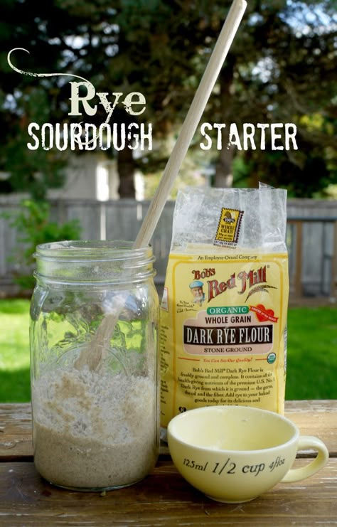 Rye Sourdough Starter | The Good Hearted Woman Rye Sourdough Starter, Rye Sourdough, Sourdough Rye, Sourdough Bread Starter, Dough Starter, Bread Starter, Sourdough Starter Recipe, Cheese Tarts, Rye Flour