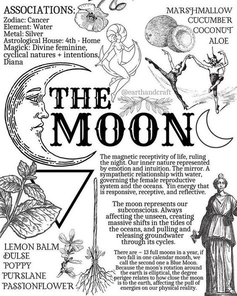 Before The Sunrise, Moon Spirituality, The Man In The Moon, Moon Dark, Earth Craft, Human Existence, Moon Journal, Oh My Goddess, Magic Herbs