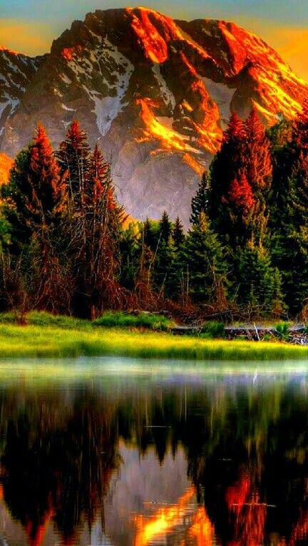 Romania Mountains And Trees, Autumn Scenery, Beautiful Nature Wallpaper, Beautiful Places In The World, Alam Yang Indah, Beautiful Nature Pictures, Pretty Places, Nature Scenes, Beautiful Sunset