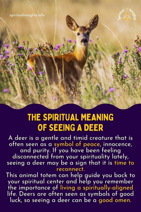 The Spiritual Meaning of Seeing a Deer Taurus Journal, Animal Totem Spirit Guides, Spirit Animal Meaning, Animal Meanings, Spiritual Animal, Animal Spirit Guides, Animal Medicine, Feeling Disconnected, Animal Symbolism