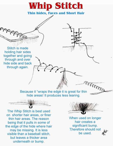 Sewing Sheepskin, Sewing Fur, Hide Tanning, Tanning Hides, Rabbit Hide, Diy Leather Working, How To Tan, Fur Mitten, Whip Stitch