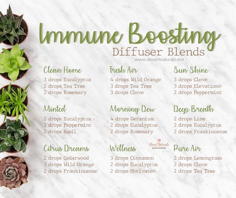 Immune Boosting Diffuser Blends, Lilin Aroma, Doterra Diffuser Blends, Essential Oil Combinations, Doterra Essential Oils Recipes, Essential Oil Diffuser Blends Recipes, Young Living Essential Oils Recipes, Essential Oils Guide, Essential Oil Diffuser Recipes