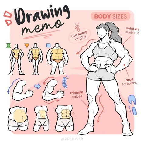 Muscular Woman, Body Type Drawing, Drawing Anatomy, Art Goals, Cage Thoracique, Human Anatomy Drawing, Body Drawing Tutorial, Human Anatomy Art, Reference Drawing