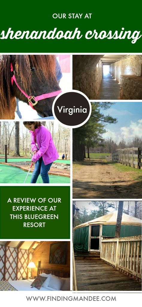 A Review of Our Stay at Shenandoah Crossing in Gordonsville, VA | Finding Mandee | Things to do at Shenandoah Crossing Gordonsville Virginia Things To Do, Gordonsville Virginia, Bluegreen Vacations, Virginia Vacation, Virginia Travel, Shenandoah Valley, Shenandoah National Park, Family Camping Trip, Vacation Planning