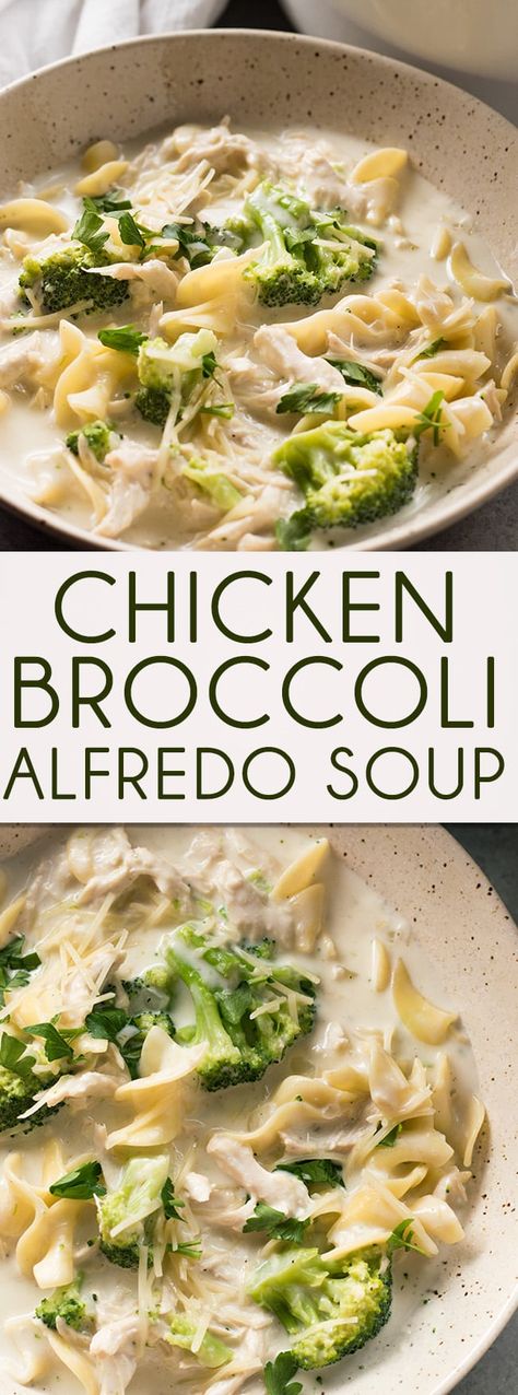 Chicken Alfredo Soup, One Pot Chicken Alfredo, Alfredo Soup, Soup With Broccoli, Chicken Broccoli Soup, Chicken Fettuccine Alfredo, Chicken Broccoli Alfredo, Chicken Fettuccine, Broccoli Alfredo