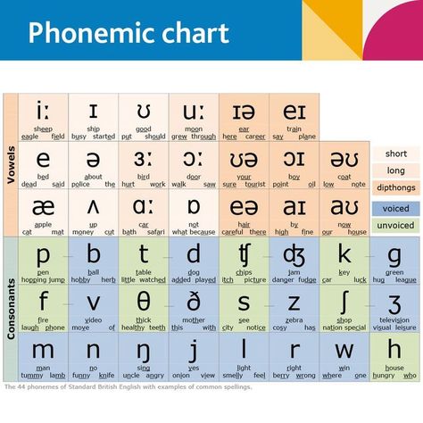 Phonic Charts, Phonetic Chart, Phonetics English, English Phonetics, Phonetic Transcription, English Speaking Book, Basic English Grammar Book, Phonics Chart, English Grammar Book