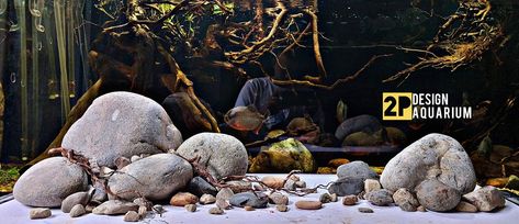 River Stone Aquascape, Stone Aquascape, Hardscape Aquarium, Biotope Aquarium, Cichlid Aquarium, Fish Tank Terrarium, Aquascape Design, Aquarium Landscape, Hardscape Design