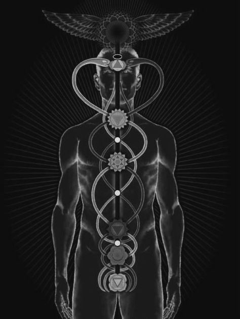 CHAKRAS ENERGETIC ANATOMY SUBTLE BODY BY CYNDI DALE / 2017. Nicolas Flamel, Kundalini Awakening, Seven Chakras, Body Anatomy, Body Colour, Geometry, Anatomy, Chakra, Coloring Books