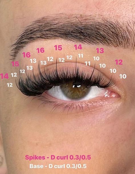 Tapered Lash Extensions, Eyelash Extensions Placement, Lash Extensions Styles For Glasses, C Lash Extensions, Whispy Lashes Extensions Hybrid, Eyelash Extensions Styles Map, Eyelash Length Chart, Eyelash Styles Chart, Lashes Extensions Numbers