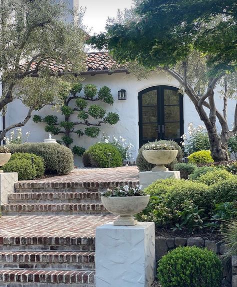 Mediterranean Spanish Style Homes, Spanish Revival Architecture, Wood Plants, Spanish Exterior, Spanish Garden, Wood Garden, California Garden, Spanish Style Homes, Mediterranean Garden