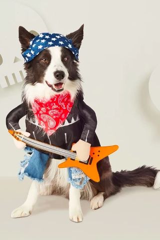 Rock Dog Costume #Halloween #HalloweenCostumes #PetCostumes Disfraz Rock And Roll, Star Wars Pet Costumes, Cool Pet Names, Funny Pet Costumes, Dog Fancy Dress, Dog Costumes Funny, Rock And Roll Music, Diy Dog Costumes, About Halloween