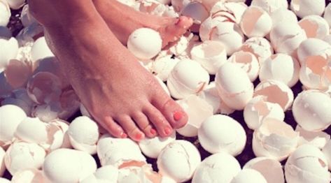 Walking on eggshells is not the way to run your business. MyLegalEdge has legal forms for all 50 states to help put you on solid ground. Check out our website at www.mylegaledge.com. MyLegalEdge - legal forms dedicated to get you crackin'. 🥚 🐣 Walk On Eggshells, Walking On Eggshells, Brutal Truth, Legal Forms, Keep It Real, Emotional Health, Egg Shells, Walk On, Buzzfeed