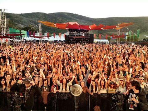 Rocking the daisies Rocking The Daisies, Namaqualand Daisies, Festival Inspiration, South Africa, Daisy, Festival