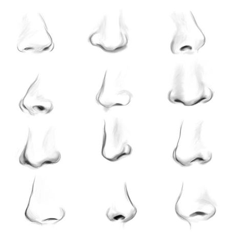 Nose Sketch From Different Angles, Side Nose Sketch, Sketches Nose, Easy Nose Drawings, Noses Drawing, Cartoon Nose, Easy Nose, Drawing Noses, Sketch Nose