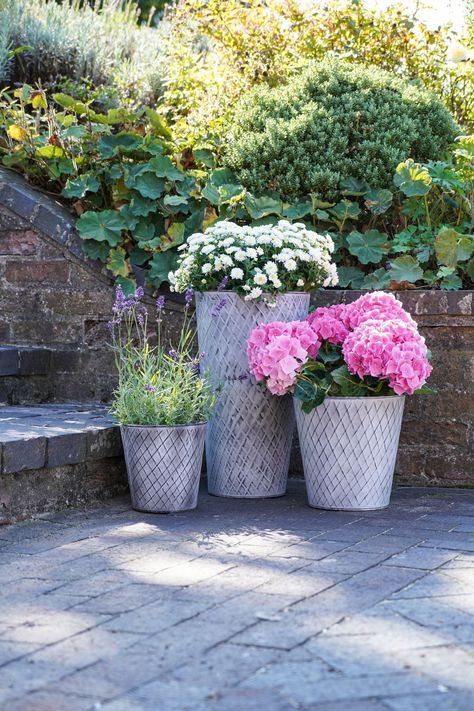 Tap into the industrial trend with our two outdoor Chatsworth zinc planters. Lightweight and resistant to rust and frost, these versatile UV stable planters highlight your favourite flora beautifully. Pot your favourite roses for a classic patio look, or why not try hydrangeas for something more striking?  100% Steel. Zinc Vase, Zinc Planters, Outdoor Vases, Decking Area, Industrial Aesthetic, Flower Pot Garden, Planter Pots Indoor, Outdoor Planters, Perennial Plants