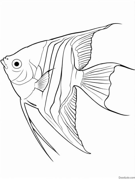 Angelfish Coloring Page Check more at https://doodlydo.com/angelfish-coloring-page/ Ocean Tattoo, Color Knowledge, Drawn Fish, Fish Coloring Page, Ocean Tattoos, Art Fish, Fish Drawings, Hand Embroidery Kit, Matching Tattoo