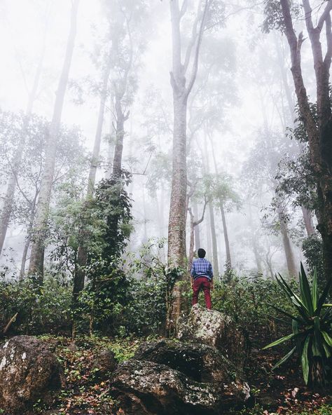 If only you experienced and felt more . . . @zmelchi in the woods at Araku Valley  #travel #explore #india #forest #outdoors #mist #Nikon #d7000 #getout #liveauthentic #adventurethatislife #vsco #vscoindia #thecreatorclass #planhatke #365deg #outdoorsupply #lifeofadventure #adventureculture #inspiroindia #igersindia  #igramming_india  #hills #rainyday #createexploretakeover #exploretocreate #moodygrams #gearednomad #createcommune #wearestillwild Re-post by Hold With Hope Araku Valley, Nikon D7000, If Only, Getting Out, Rainy Days, In The Woods, Nikon, Mist, Forest