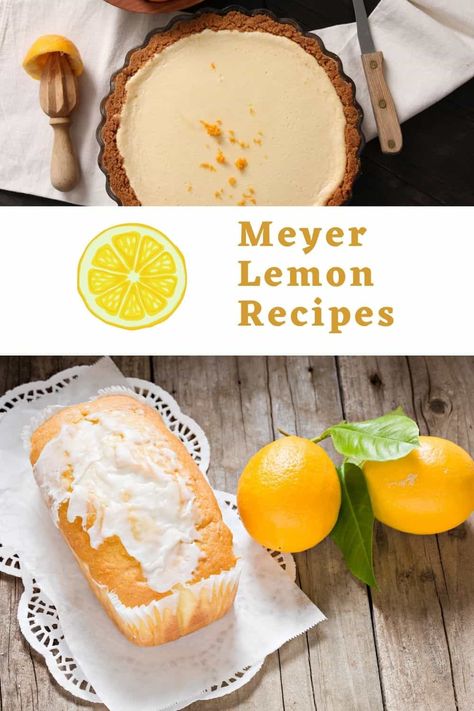 Do you love Meyer lemon recipes? If so, welcome to our list of yummy sweet and savory recipes with the mild and fragrant Meyer lemon! Myers Lemon Recipes, Meyer Lemon Recipes Desserts, Lemon Recipes Vegan, Myer Lemon Recipes, Lemon Bread Recipes, Meyer Lemon Recipes, Lemon Roasted Chicken, Lemon Meringue Tart, Sweet Thoughts