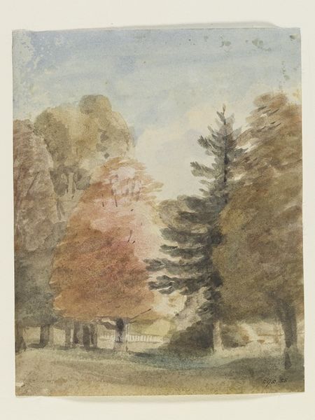 Study of trees in a park, perhaps Helmingham Park | John Constable | V&A Search the Collections Photo Study, John Constable, English Artists, Wood Engraving, Online Wall Art, Watercolor Inspiration, A Park, Tree Art, Tree Painting