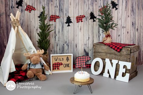 Lumberjack Decor, Buffalo Plaid Birthday Party, Buffalo Plaid Garland, Wild One Cake Smash, Buffalo Plaid Birthday, Fabric Pom Poms, Lumberjack Birthday Party, Lumberjack Birthday, Lumberjack Party