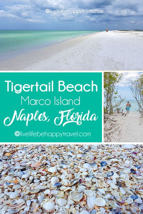 Discover the hidden gem of Naples, Florida with Tigertail Beach. Enjoy miles of pristine white sand, crystal-clear waters, and a secluded atmosphere. Explore the lagoon, spot birds, collect shells, and relax under the sun. Perfect for families with small children and those who want to escape the crowds. Don't miss out on this must-visit attraction in Naples, Florida. Florida Vacation Spots, Marco Island Florida, Florida Travel Guide, Florida Adventures, Sanibel Island Florida, Visit Florida, Marco Island, Sanibel Island, Naples Florida