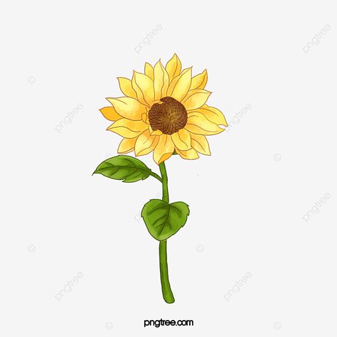 clipart bunga matahari,bunga matahari,bunga matahari,bunga matahari,cantik,musim semi,benih,bunga-bunga Seed Clipart, Ejen Zass, Seed Flowers, Sunflower Watercolor, Clipart Flowers, Sunflower Clipart, Watercolor Spring, Mata Hari, Spring Clipart