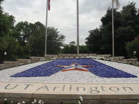 University of Texas at Arlington Ut Arlington, University Of Texas At Arlington, College Ready, College Necessities, College Readiness, University Of Texas, College Graduation, Beach Mat, Outdoor Blanket