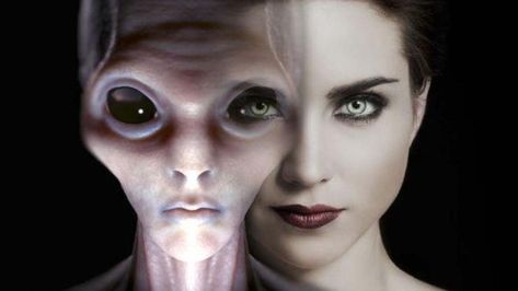 Aliens reproduce with humans says a professor at oxford university - Infinity Explorers Types Of Aliens, Alien Proof, Alpha Centauri, Aliens Exist, Alien Life Forms, Grey Alien, Human Dna, Hidden Agenda, Aliens And Ufos