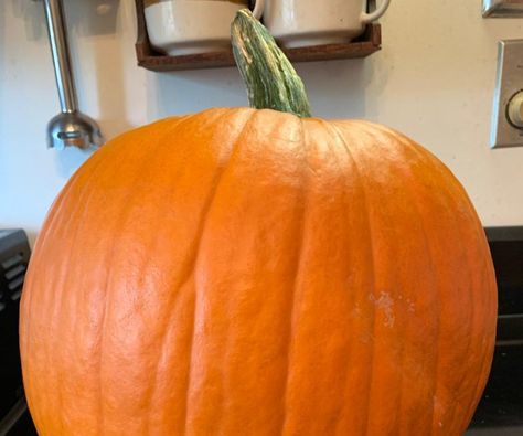 Biggest Pumpkin, Pumpkin Pudding, Fresh Pumpkin, Large Pumpkins, Large Pumpkin, Vanilla Wafers, Cooking For Two, Chopped Pecans, Food Decoration