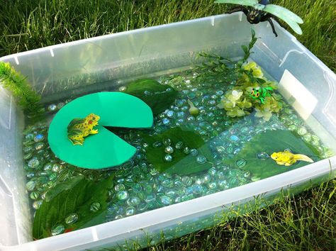 Frog Sensory Bin - fill the tub with water beads and add lili pads and frogs Frog Ideas, Sensory Tubs, Lifecycle Of A Frog, Tuff Spot, Diy Mom, Miss Kindergarten, Frog Life, Frog Theme, Sand And Water Table