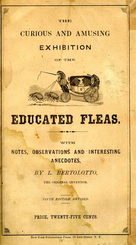 by Bertolotto the flea master extraordinaire Flea Circus, George Peabody Library, Peabody Library, Weird Insects, Vintage French Posters, Funny Vintage Ads, Take The High Road, Circus Animals, French Poster