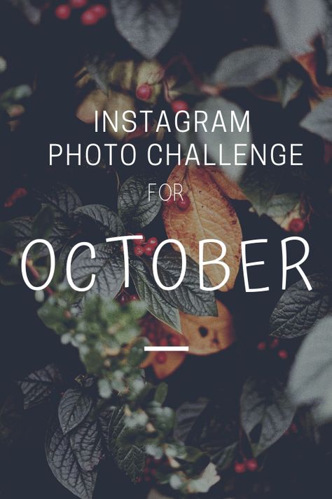 Get your Instagram booming this October with this completely, unique and extremely autumnal inspired photo checklist. Instagram Photo Challenge, October Photography, Welcome October, Photo Checklist, Big Photo, Photography Challenge, Photo Challenge, Fall Photos, Photography Blog