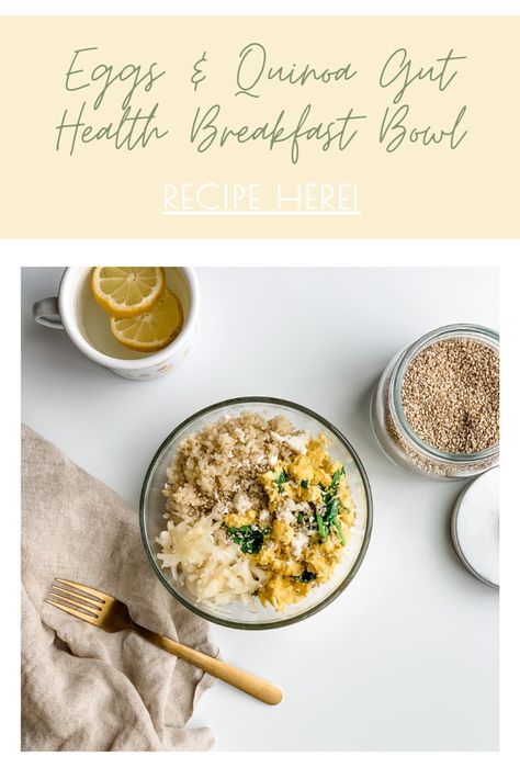 This delicious breakfast bowl are what gut health dreams are made of! The scrambled eggs are combined with fiber rich quinoa, prebioitc packed spinach and sesame seeds, and topped with a big dose of probiotics from raw sauerkraut. If you are new to fermented foods, this recipe is a perfect how-to for using raw sauerkraut and making it super tasty. Enjoy this quick recipe anytime you need something yummy and fililng in the AM! #guthealth #breakfastbowls #healthyrecipes #sauerkraut #probiotics Sauerkraut Breakfast Eggs, Sauerkraut Bowl, Gut Health Breakfast, Quinoa And Eggs, Health Bowls, Raw Sauerkraut, Quinoa Egg, Breakfast Bowls Recipe, Gut Healing Recipes