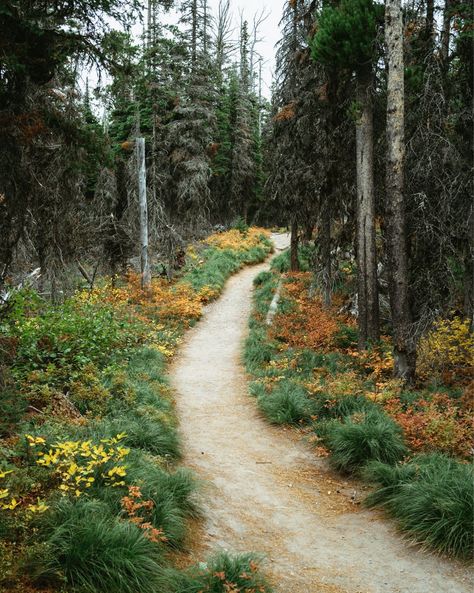 Glacier on 35mm film. 🎞️ 📸 Who’s traveling to this incredible Montana park this summer? 🏔️ 🌲 🥾 Film Photography 35mm, 35mm Film, Film Photography, All Pictures, Montana, Travel Photography, The Incredibles, In This Moment, Film