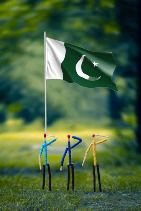 Pakistani Flag Pics, Pakistan Flag Aesthetic, Pakistan Flag Pic, Pakistan Flag Wallpaper, Pakistan Flag Images, Flag Pakistan, Pakistan Country, Pakistani Flag, Thailand Flag