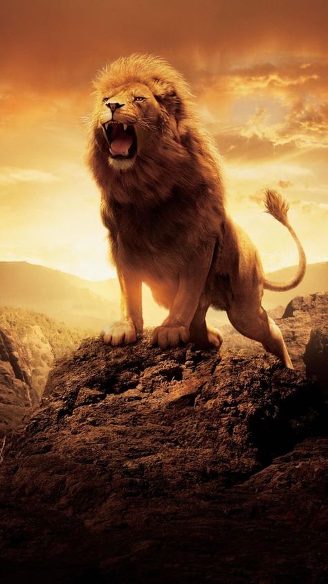 Narnia Wallpaper Iphone, Fall Wallpaper Facebook Cover, Narnia Wallpaper, Narnia Lion, Lion Hd Wallpaper, Twilight Saga Breaking Dawn, Wallpapers For Phone, Animation Camera, Iphone Quotes