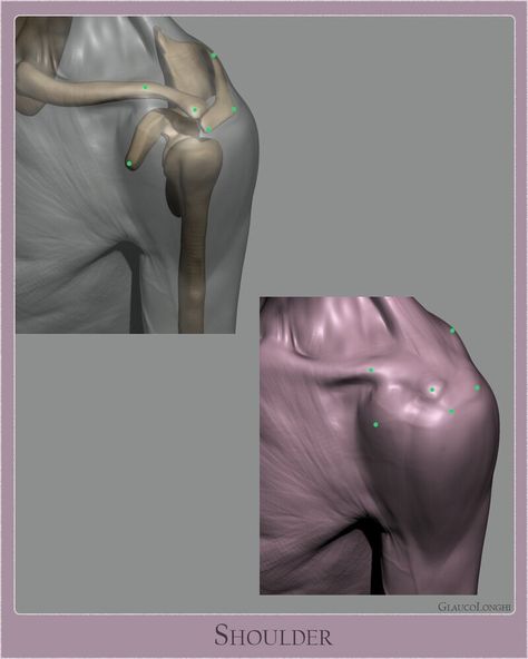 ArtStation - Anatomy Studies - Part 01 남성 근육, Human Muscle Anatomy, Shoulder Girdle, Human Anatomy Reference, Art Anatomy, Body Study, Anatomy Sculpture, Human Body Anatomy, Anatomy Tutorial