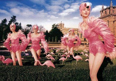 Avant Garde Fashion Photography, Lawn Flamingos, Flamingo Stuff, Veuve Cliquot, Spiked Heels, Flamingo Costume, Paper Dahlia, Flamingo Dress, It's Saturday