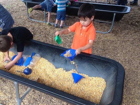 Corn trough Corn Play Pit, Corn Pit For Kids, Pumpkin Patch Business, Pumpkin Patch Decoration, Agritourism Farms, Pumpkin Patch Farm, Festival Grounds, Fall Festival Games, Outdoor Play Space